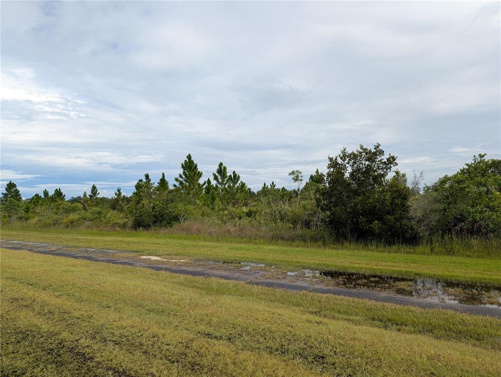 A grassy field with a small ditch leads to a dense line of trees — 303 JAPONICA AVENUE, INDIAN LAKE ESTATES, FL