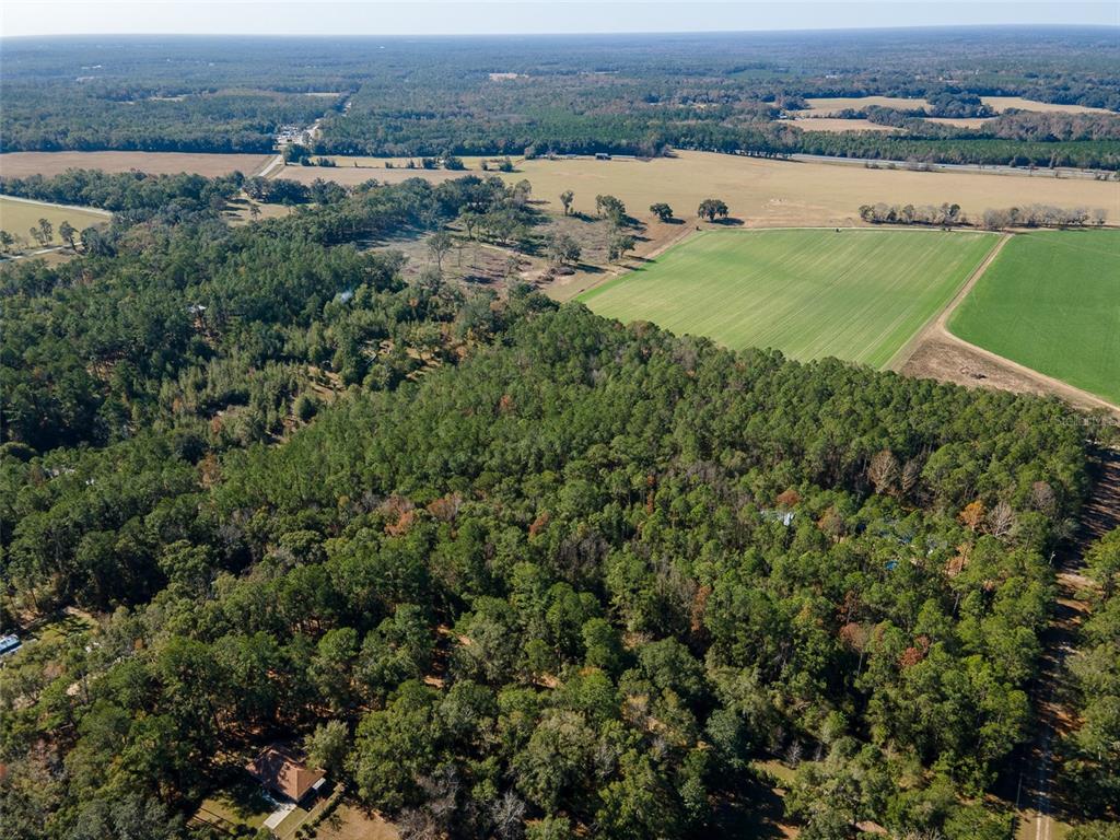 An aerial view shows a large wooded area adjacent to open agricultural fields — TBD N COUNTY RD 1491, ALACHUA, FL