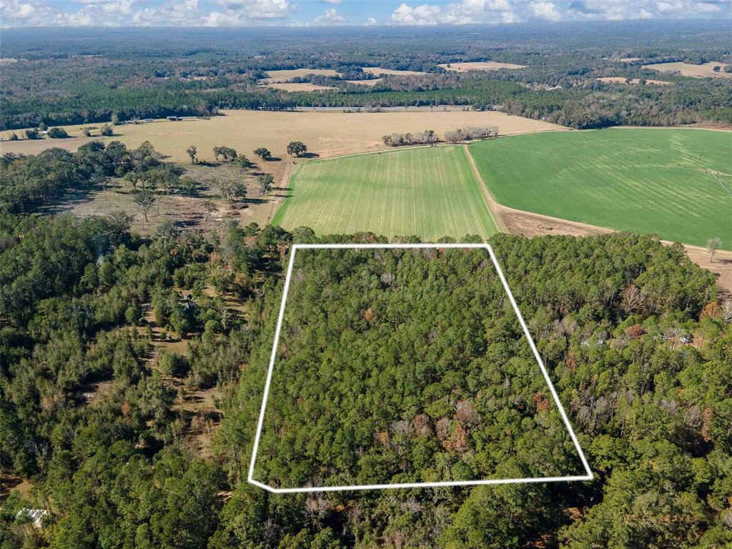 An aerial view shows a rectangular plot of wooded land outlined in white — TBD N COUNTY RD 1491, ALACHUA, FL