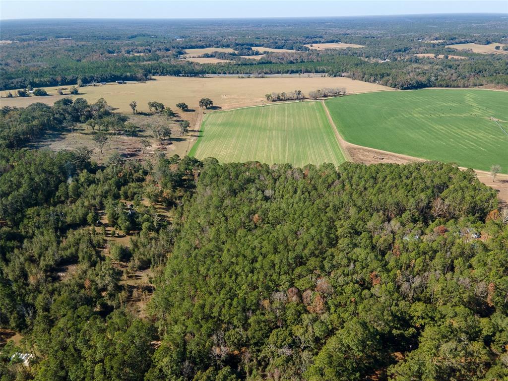 An aerial view shows a large forested area adjacent to open agricultural fields — TBD N COUNTY RD 1491, ALACHUA, FL