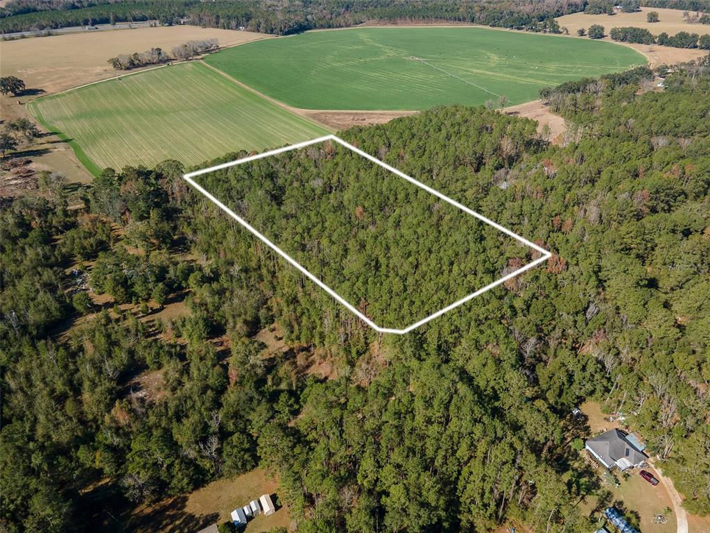 An aerial view shows a rectangular plot of wooded land outlined in white near fields — TBD N COUNTY RD 1491, ALACHUA, FL