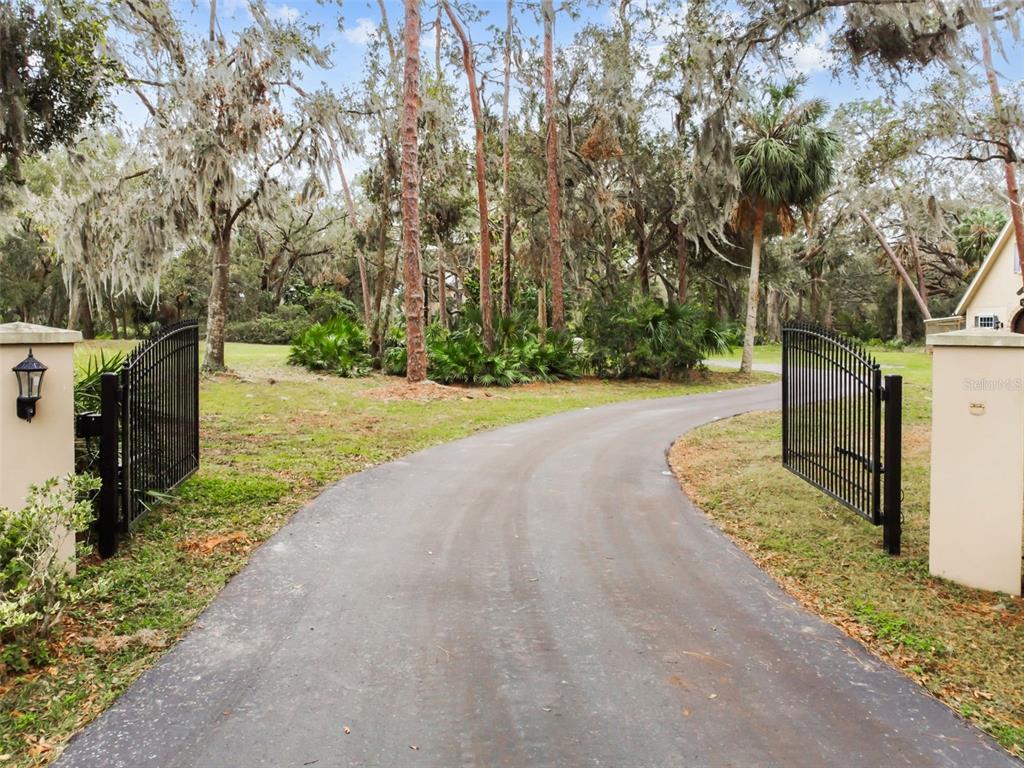 A paved driveway leads through an open metal gate into a wooded residential property — 12709 MANNHURST OAK LANE, LITHIA, FL