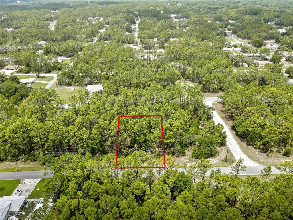 An aerial view shows a rectangular plot of land outlined in red amidst dense trees — 7732 N UDAL DRIVE, CITRUS SPRINGS, FL