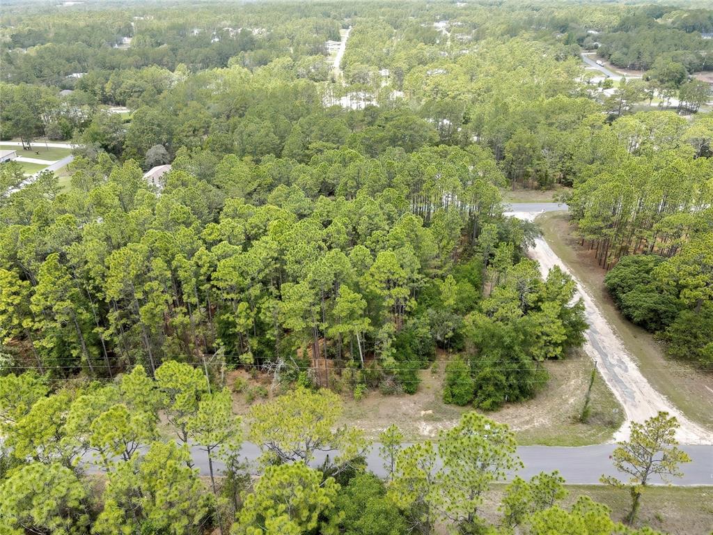 An aerial view shows a wooded residential lot bordered by paved and dirt roads — 7732 N UDAL DRIVE, CITRUS SPRINGS, FL