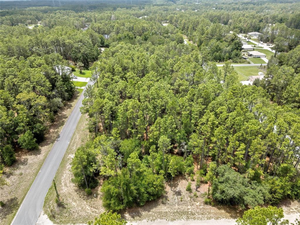 An aerial view shows a paved road bordering a dense, wooded lot of pine trees — 7732 N UDAL DRIVE, CITRUS SPRINGS, FL