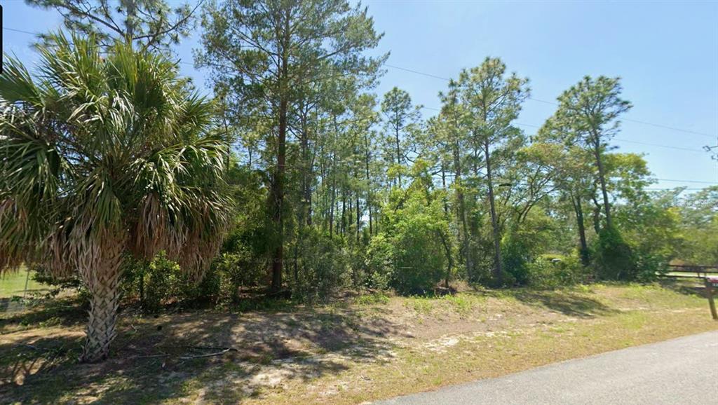 A wooded, undeveloped residential lot sits beside a paved road under a clear blue sky — SW NAUTILUS BOULEVARD, DUNNELLON, FL