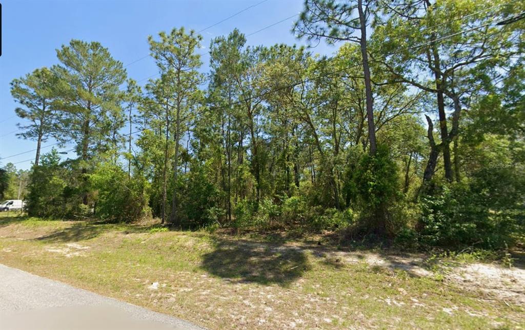 A wooded, undeveloped lot with tall pine trees sits along a paved road — SW NAUTILUS BOULEVARD, DUNNELLON, FL