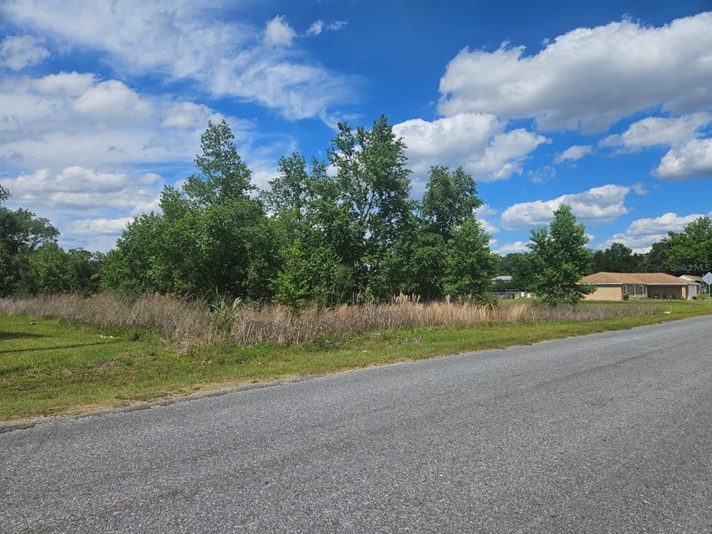 A vacant, grassy lot with scattered trees sits beside a paved road — SE 140TH STREET, SUMMERFIELD, FL