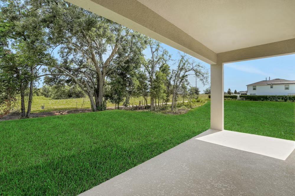 A covered concrete patio overlooks a grassy backyard with mature trees and a neighboring house — 15075 TEA TREE DRIVE, WINTER GARDEN, FL