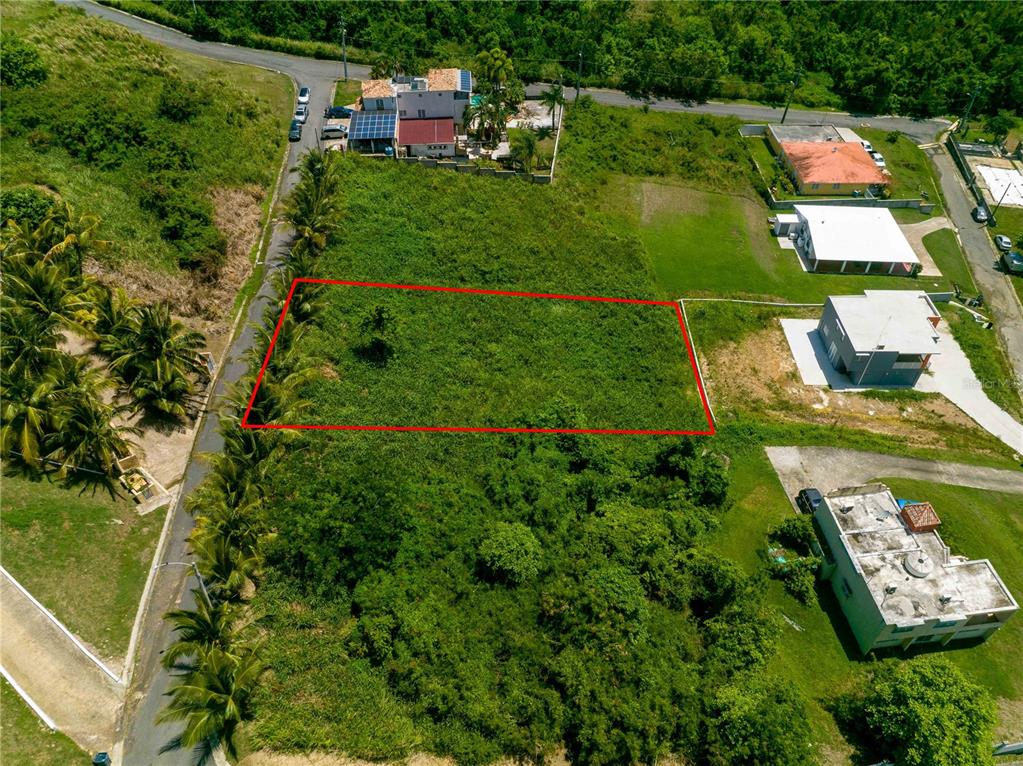 An aerial view shows a rectangular plot of land outlined in red amidst green vegetation — BO Mameyes LINDOMAR II Lote 24, RIO GRANDE, PR