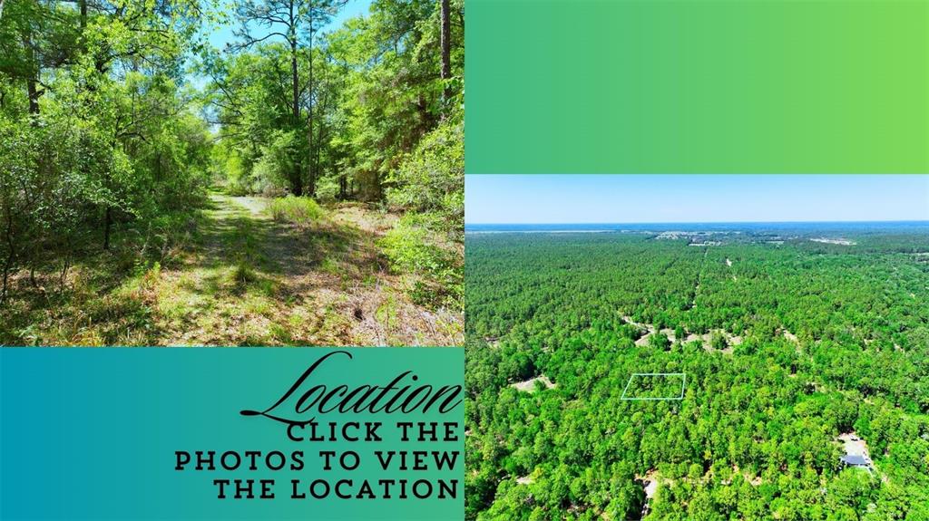 A split-screen image shows a wooded path on the left and an aerial forest view — TBD SW 24TH PLACE, OCALA, FL