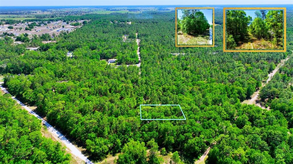 An aerial view shows a wooded lot outlined in blue surrounded by forest and roads — TBD SW 24TH PLACE, OCALA, FL