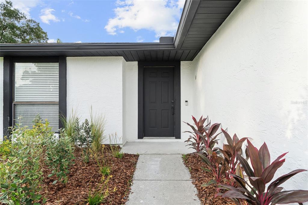 A white house exterior features a dark front door, a concrete walkway, and landscaped beds — 5308 BLACK PINE DRIVE, TAMPA, FL