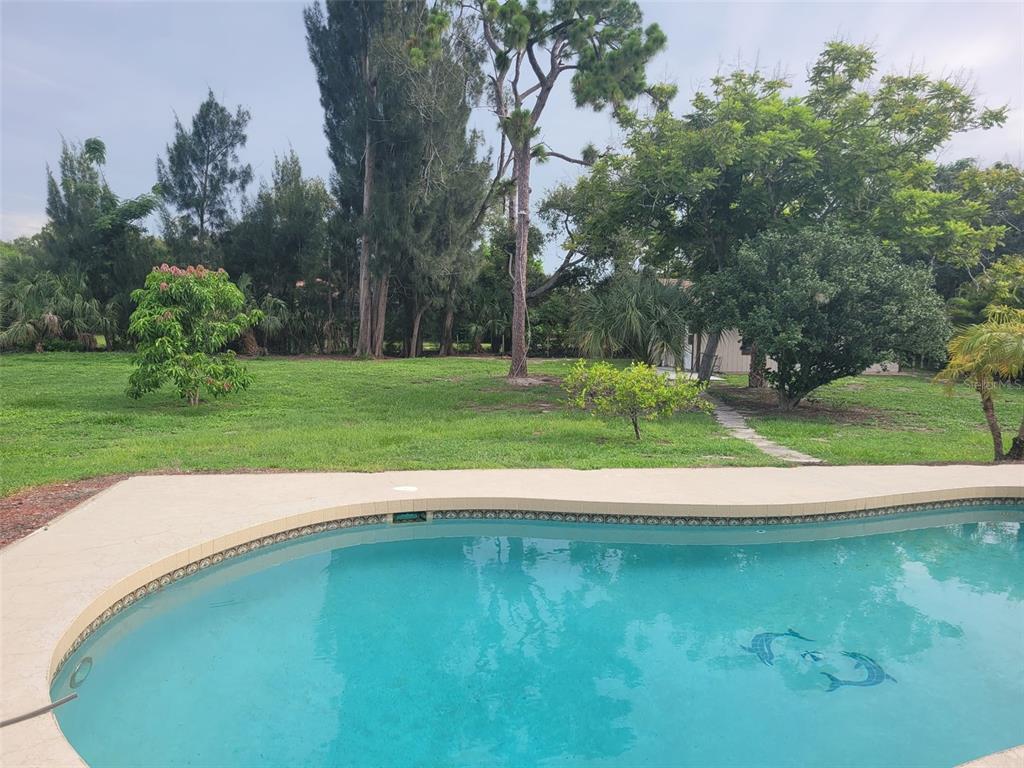 A backyard swimming pool overlooks a large, grassy lawn surrounded by mature trees and foliage — 2331 MISSION VALLEY BOULEVARD, NOKOMIS, FL
