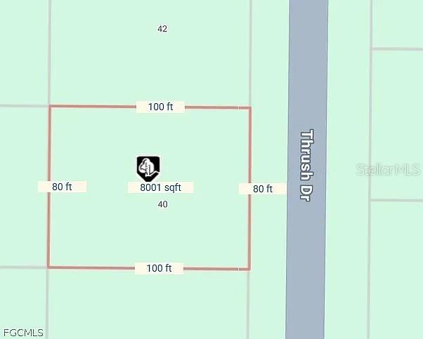 This is a map showing a rectangular residential lot measuring 80 feet by 100 feet — 40 THRUSH DRIVE, PLACIDA, FL