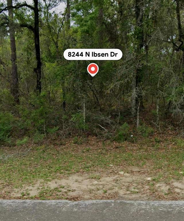 8244 N IBSEN DRIVE
