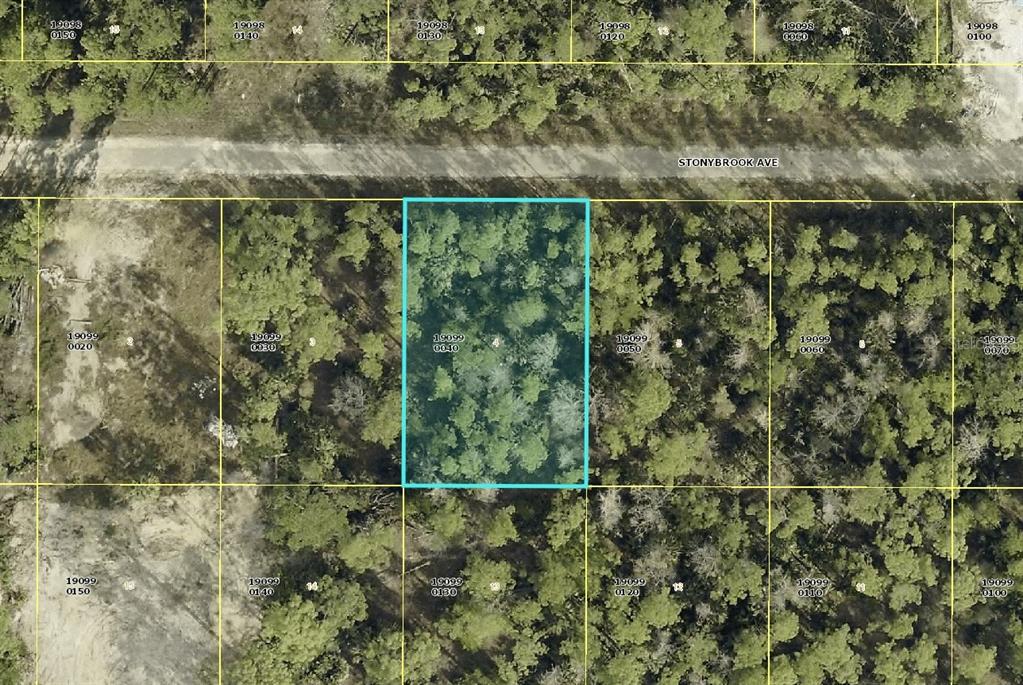 This is an aerial map view of a wooded residential lot highlighted in blue — 309 STONYBROOK AVENUE, LEHIGH ACRES, FL