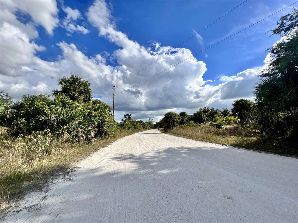 A dirt road stretches through a landscape of scrub brush and palm trees under a cloudy sky — 27120 SAN CARLOS DRIVE, PUNTA GORDA, FL