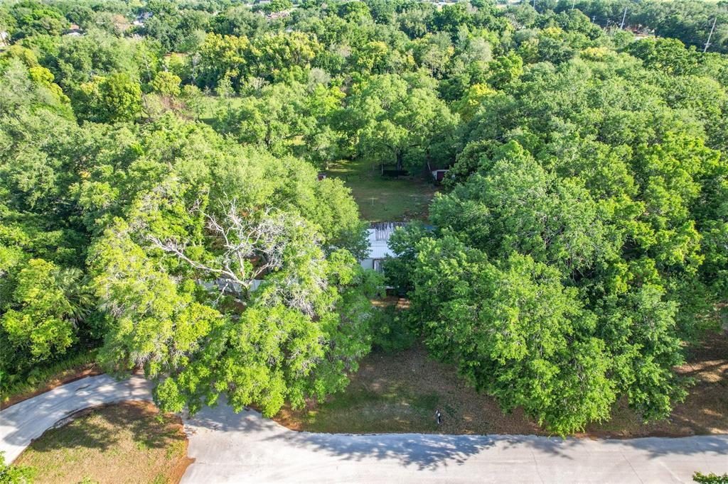 An aerial view shows a house nestled among dense trees on a wooded lot — 821 IRENE DRIVE, AUBURNDALE, FL