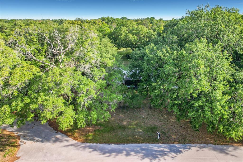 An aerial view shows a paved road in front of a wooded lot with a house — 821 IRENE DRIVE, AUBURNDALE, FL