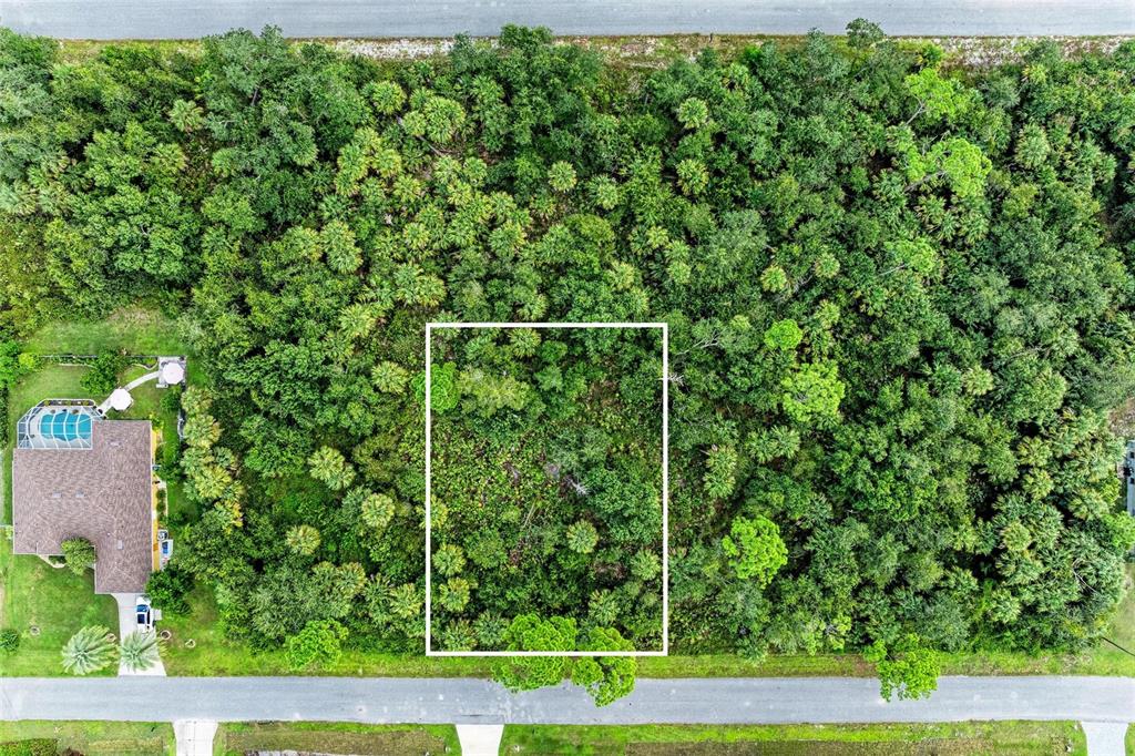 An aerial view shows a rectangular plot of land outlined in white amidst dense vegetation — Lot 25 BILLINGHAM LANE, NORTH PORT, FL