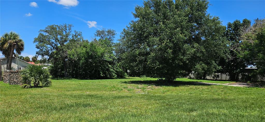 A grassy, vacant lot features several large trees and a stone wall on the left — 4001 DUNDEE ROAD, WINTER HAVEN, FL
