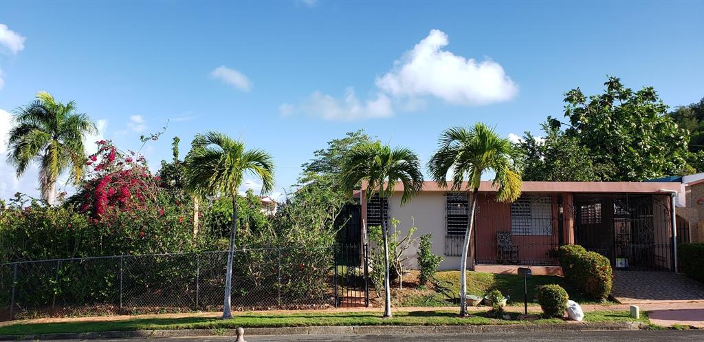 A single-story house with a covered porch, palm trees, and a chain-link fence — 4-14 bloque 4k-10 ALTURAS DE MONTE BRISAS, FAJARDO, PR
