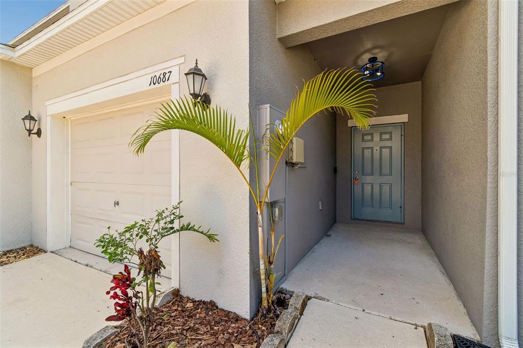 A light-colored house exterior features a garage, a blue front door, and a small palm — 10687 LAKE MONTAUK DRIVE, RIVERVIEW, FL