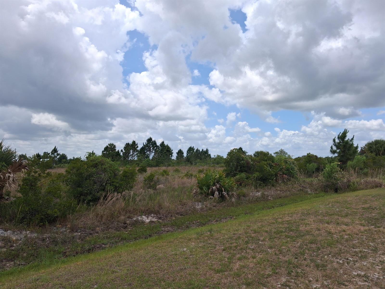 A grassy field with shrubs and trees under a cloudy blue sky — 18668 NW 258th Street, Okeechobee FL 34972, OKEECHOBEE, FL
