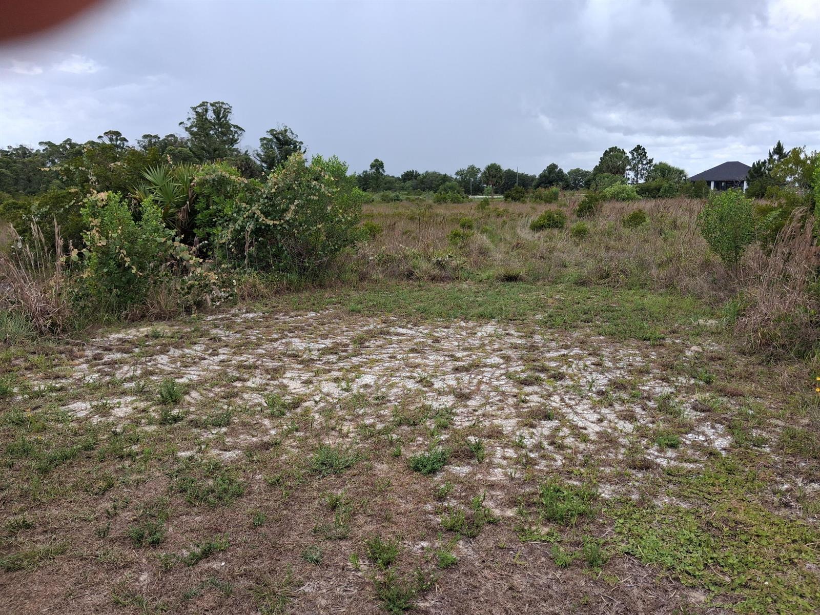 A vacant, grassy lot with sandy patches and surrounding shrubs under a cloudy sky — 18668 NW 258th Street, Okeechobee FL 34972, OKEECHOBEE, FL