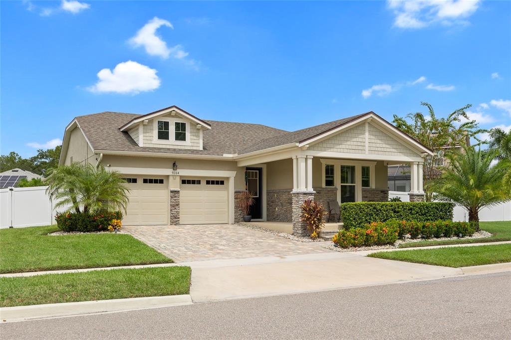 9164 PATRIMONIO LOOP