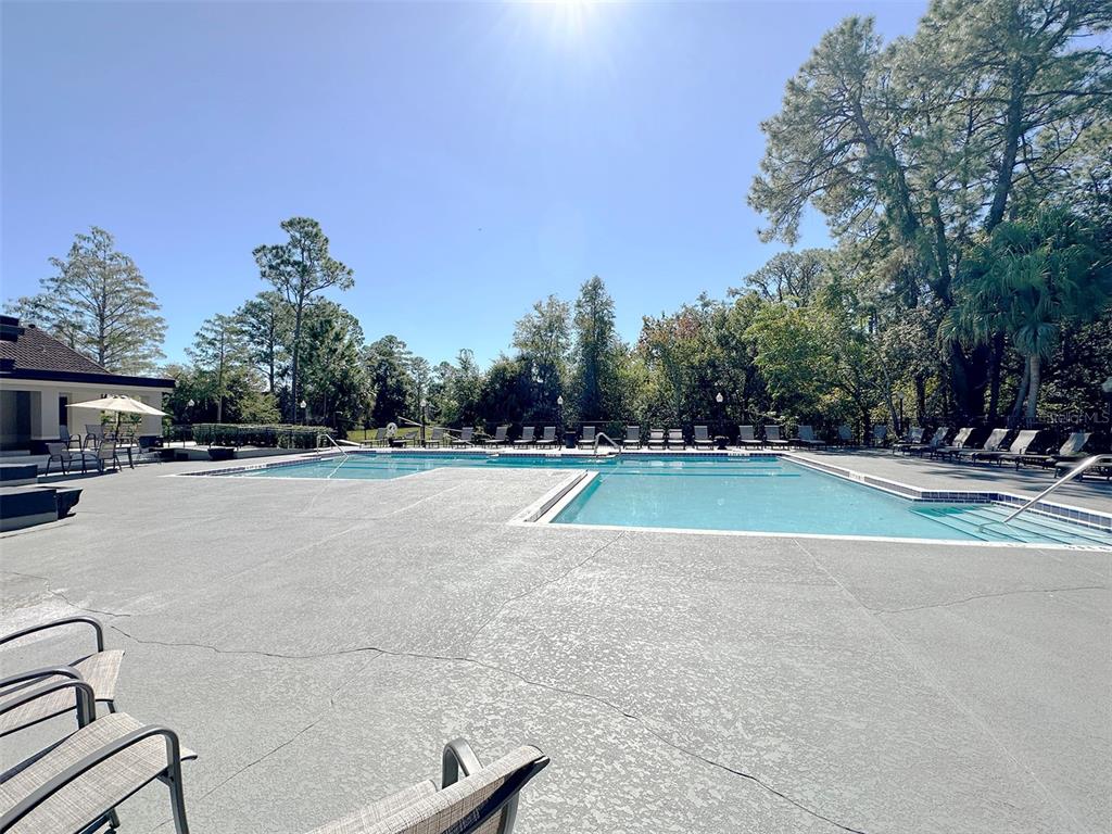 A large outdoor swimming pool with lounge chairs on a concrete deck surrounded by trees — 5124 CONROY ROAD UNIT 12, ORLANDO, FL
