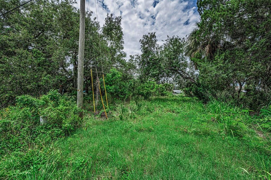 A grassy, overgrown vacant lot features a utility pole and dense surrounding trees and vegetation — Lot 15 RICE ROAD, HUDSON, FL