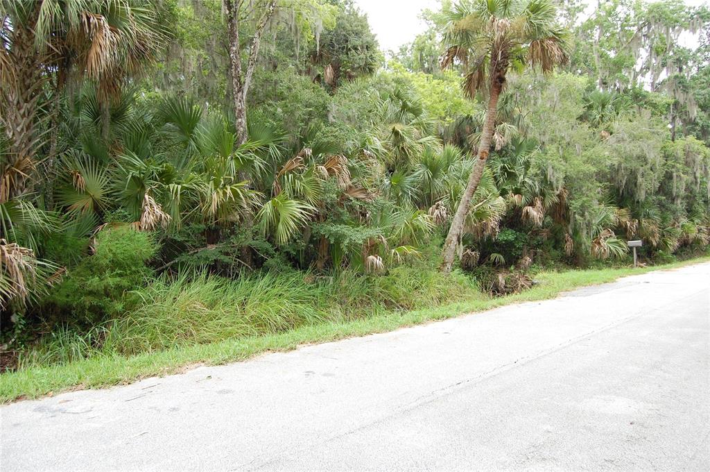 PALM DRIVE
