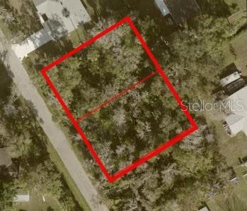An aerial view shows two adjacent, undeveloped rectangular lots outlined in red — PALM DRIVE, NEW SMYRNA BEACH, FL