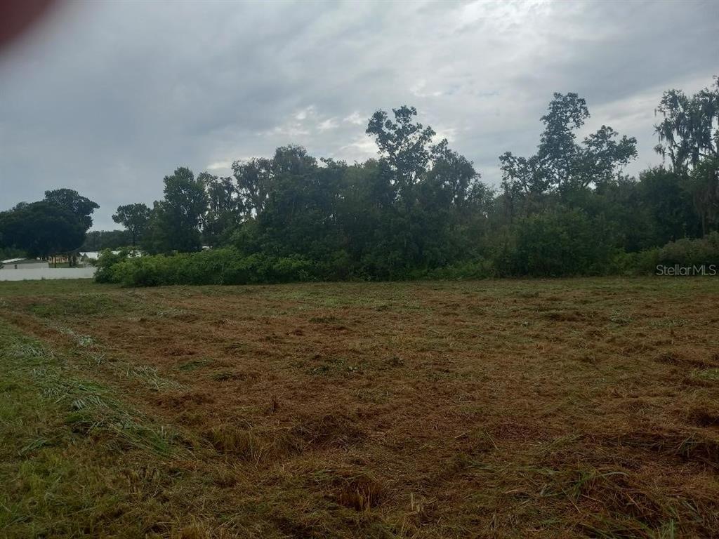 A large, cleared grassy lot is bordered by a dense line of trees — 3408 N FORBES ROAD, PLANT CITY, FL