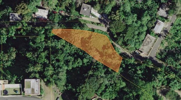 LOT#1-A LOS COLONES SECTOR, QUEBRADA ARENAS WARD