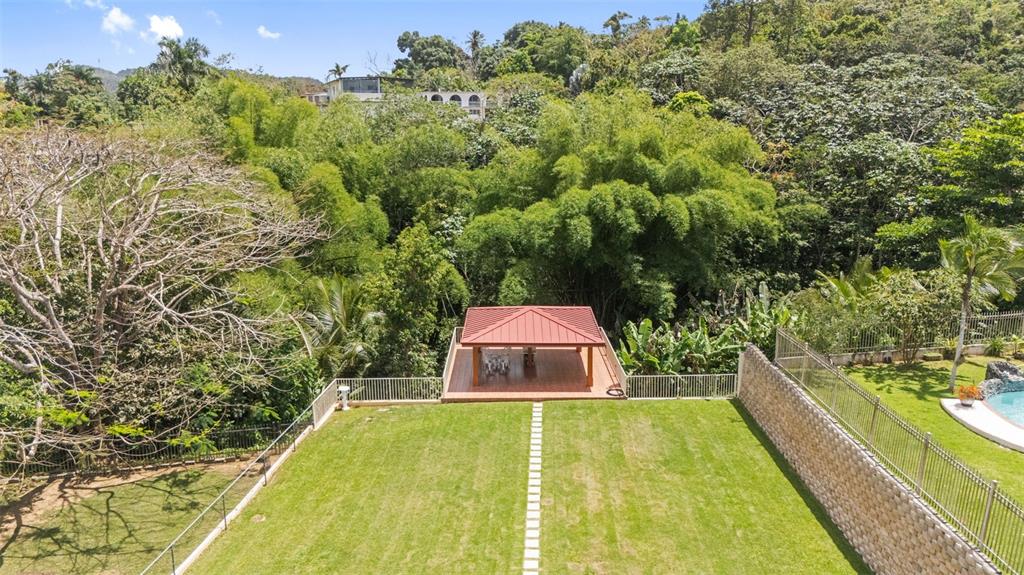 An aerial view shows a grassy backyard with a covered patio and a stone wall — A16 SAN IGNACIO STREET, SAN PEDRO ESTATES, CAGUAS, PR
