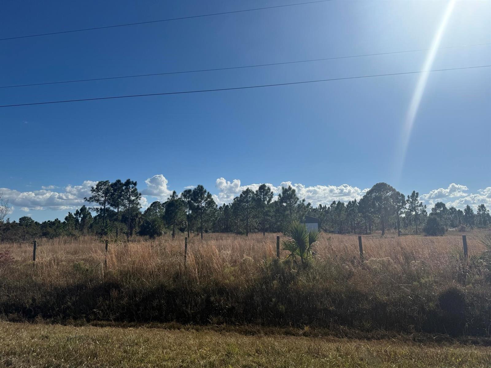A wire fence borders a grassy field with scattered trees under a bright blue sky — 16382 NW 286th Street, Okeechobee FL 34972, OKEECHOBEE, FL