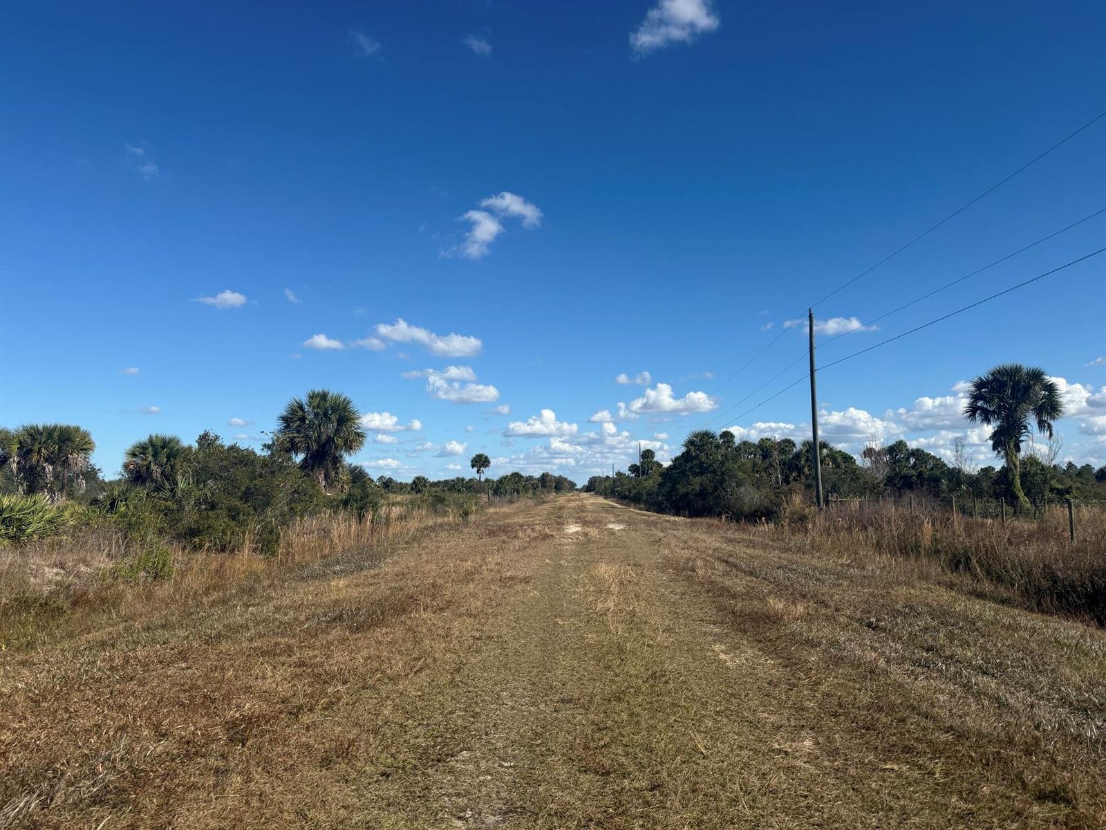 A dirt path leads through a grassy field with palm trees and utility poles — 16382 NW 286th Street, Okeechobee FL 34972, OKEECHOBEE, FL