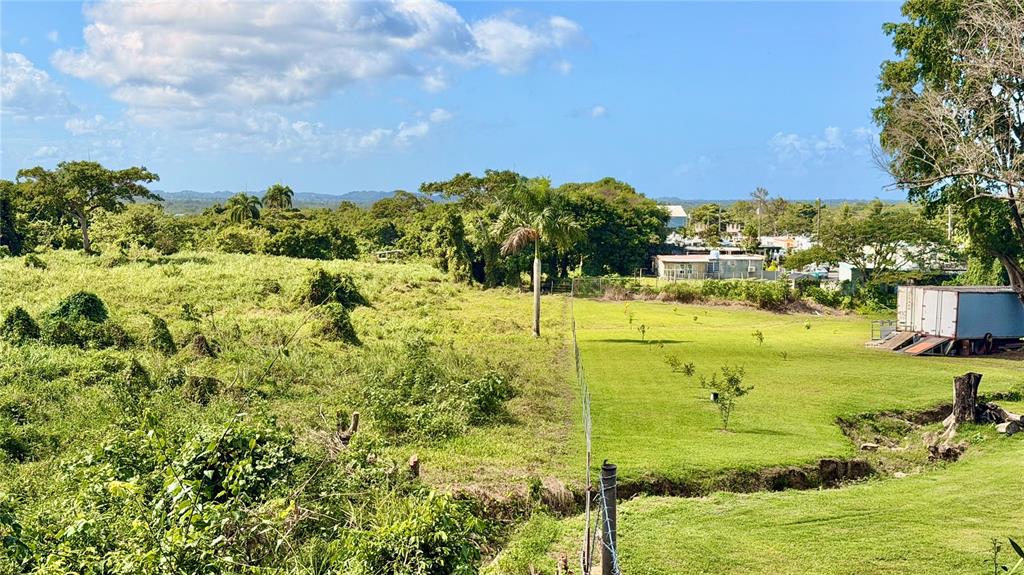 A grassy field is divided by a fence, with dense vegetation on one side — BO ZARAL SEC CAROLA, RIO GRANDE, PR