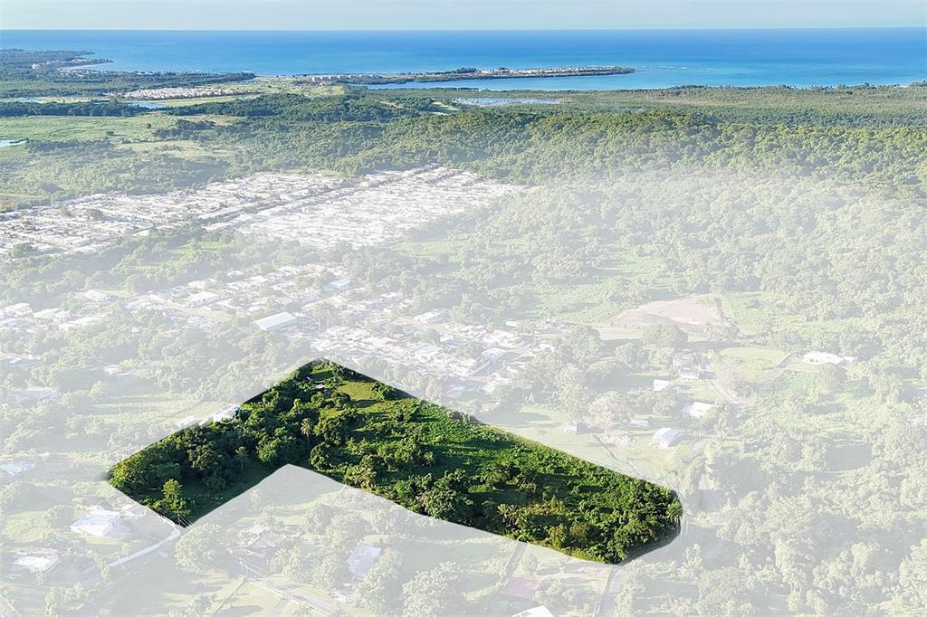 An aerial view shows a highlighted L-shaped plot of land surrounded by trees and houses — BO ZARAL SEC CAROLA, RIO GRANDE, PR