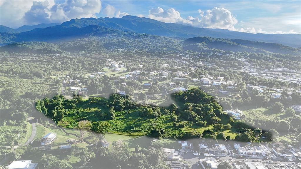 An aerial view shows a large, undeveloped green lot surrounded by residential neighborhoods and mountains — BO ZARAL SEC CAROLA, RIO GRANDE, PR