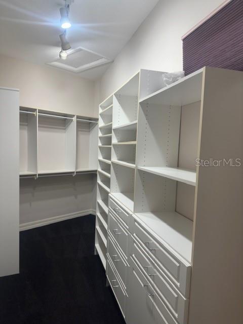 A walk-in closet features white shelving units, built-in drawers, and dark carpeting — 15986 CUTTING HORSE TRAIL, MYAKKA CITY, FL