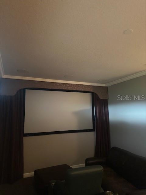 A home theater room features a large projection screen, dark curtains, and leather seating — 15986 CUTTING HORSE TRAIL, MYAKKA CITY, FL