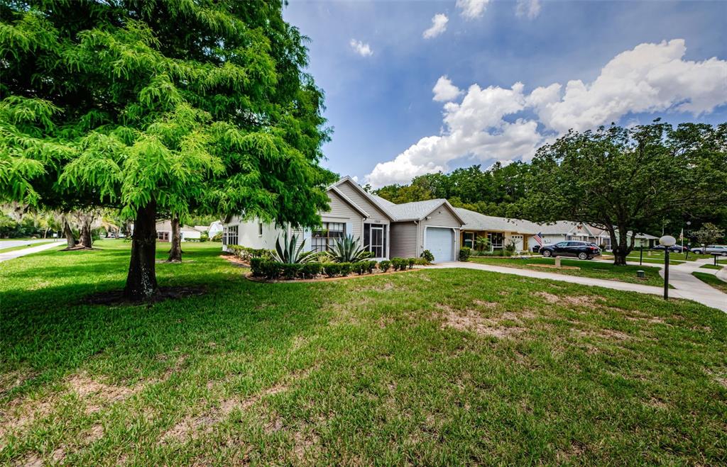 A single-story house with a garage and a large tree in the front yard — 11805 LOBLOLLY PINE DRIVE, NEW PORT RICHEY, FL