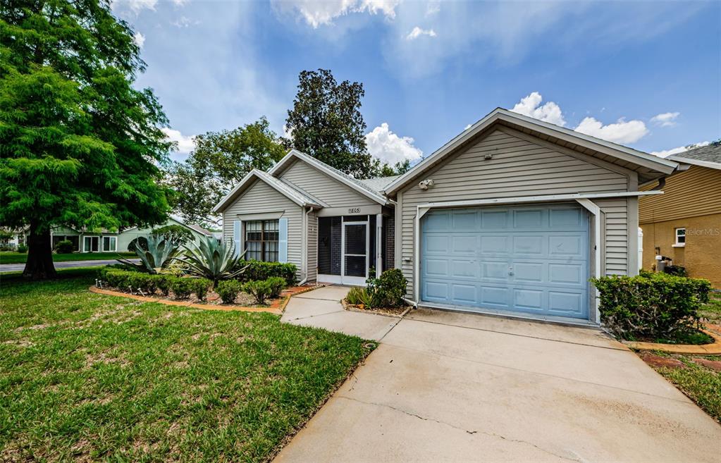 A single-story house with light gray siding, a one-car garage, and a landscaped front yard — 11805 LOBLOLLY PINE DRIVE, NEW PORT RICHEY, FL
