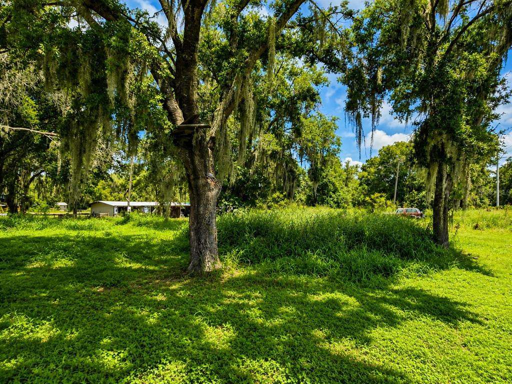 A one-story house with a covered front porch, light siding, and a dark shingled roof — 13691 S HWY 25, EASTLAKE WEIR, FL