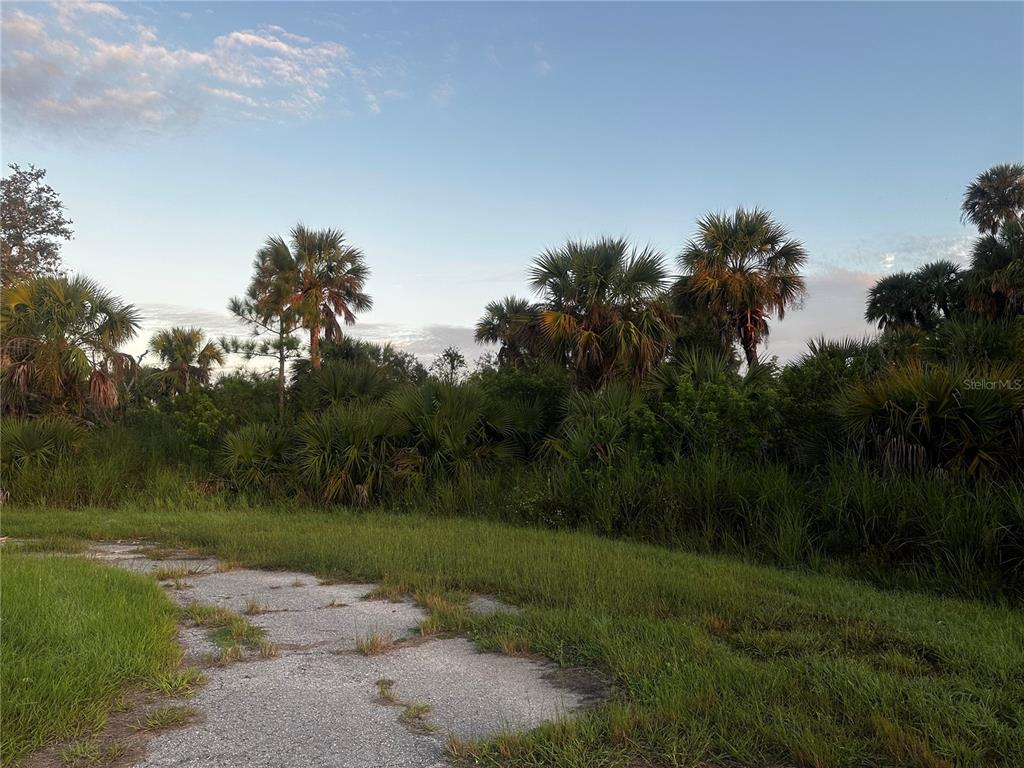 A paved path leads toward a dense area of palm trees and overgrown vegetation — DUNE COURT, NORTH PORT, FL