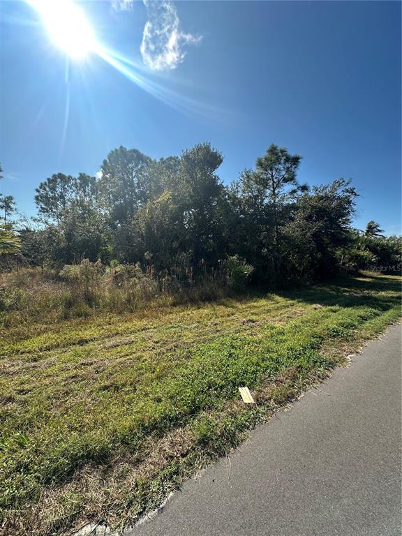 A paved road runs alongside a grassy, wooded vacant lot under a bright sunny sky — 10405 ROCKFORD AVENUE, ENGLEWOOD, FL